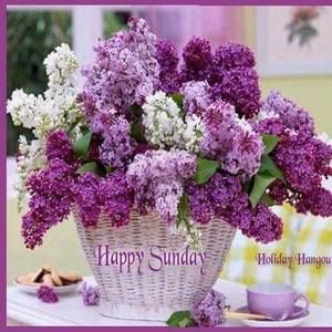 Meet your Posher, Tamara